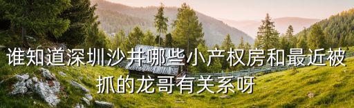 誰知道深圳沙井哪些小產(chǎn)權(quán)房和最近被抓的龍哥有關(guān)系呀