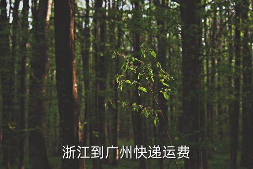 浙江到廣州快遞運費