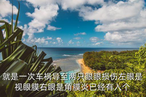 就是一次車禍導至兩只眼眼損傷左眼是視眼膜右眼是角膜炎已經(jīng)有入個
