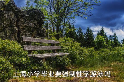 上海小學畢業要強制性學游泳嗎