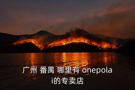 廣州番禺川崎專賣店，廣州番禺哪里有賣Fourloko