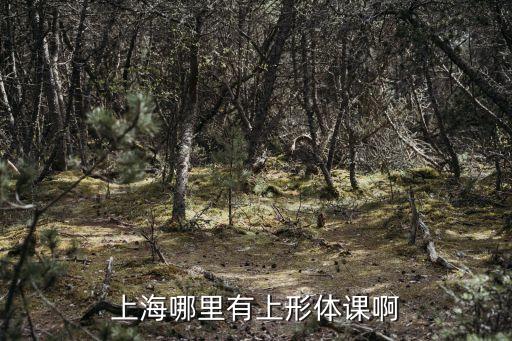 上海市形體禮儀培訓班，我想請問一下上海有沒有為兒童提供形體培訓的機構