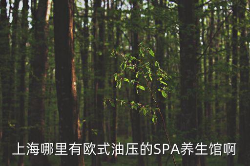 上海哪里有歐式油壓的SPA養(yǎng)生館啊