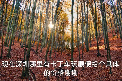現在深圳哪里有卡丁車玩順便給個具體的價格謝謝