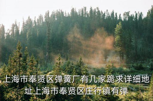 上海市彈簧廠廠家，上海嘉定有幾家彈簧廠