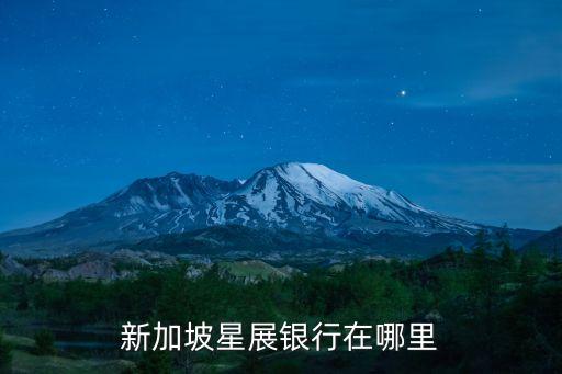 新加坡星展銀行在哪里
