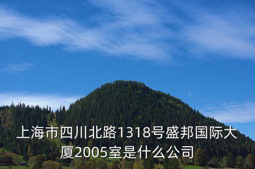 上海市國際匯金有限公司，上海市四川北路1318號盛邦國際大廈2005室是什么公司