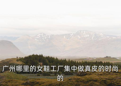 廣州哪里的女鞋工廠集中做真皮的時尚的