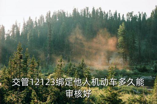 深圳交警他人綁定車輛怎么審核，交管12123APP申請綁定他人機動車都等了兩個多月了怎么還是顯