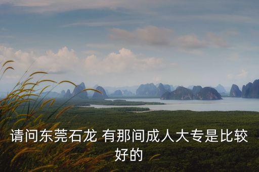 請問東莞石龍 有那間成人大專是比較好的