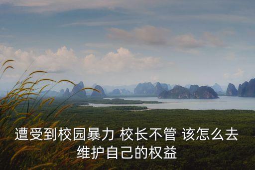 遭受到校園暴力 校長不管 該怎么去維護自己的權益