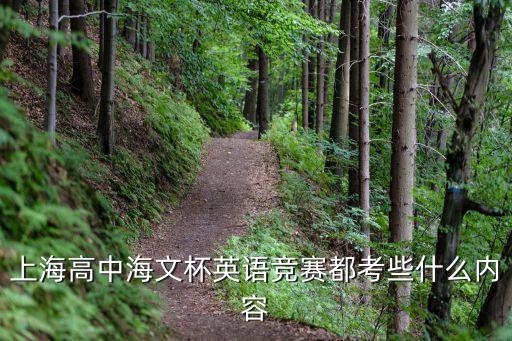 上海市高中英語競賽進決賽，每年高中的英語競賽如果進了決賽而且得了獎高考會加5分嗎是真