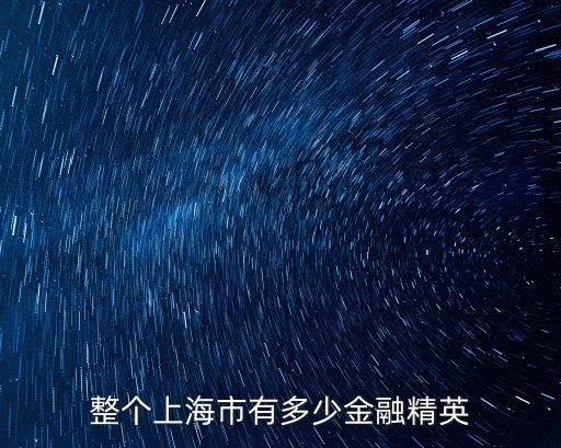 整個上海市有多少金融精英