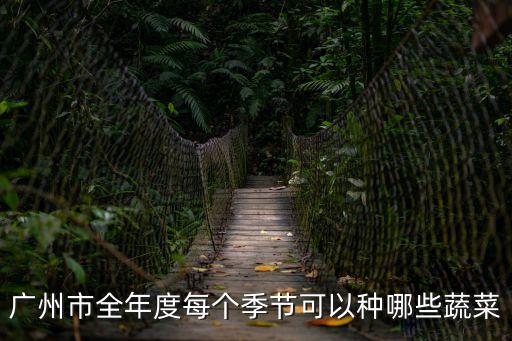 廣州市全年度每個季節可以種哪些蔬菜