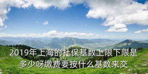 2019年上海的社保基數上限下限是多少呀繳費要按什么基數來交