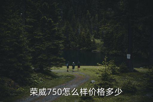 榮威750怎么樣價格多少