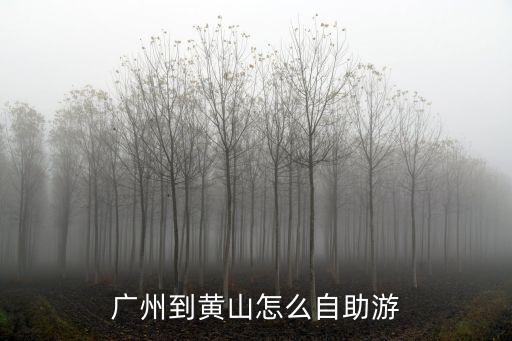 廣州到黃山怎么自助游