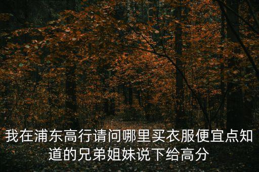 我在浦東高行請(qǐng)問(wèn)哪里買衣服便宜點(diǎn)知道的兄弟姐妹說(shuō)下給高分