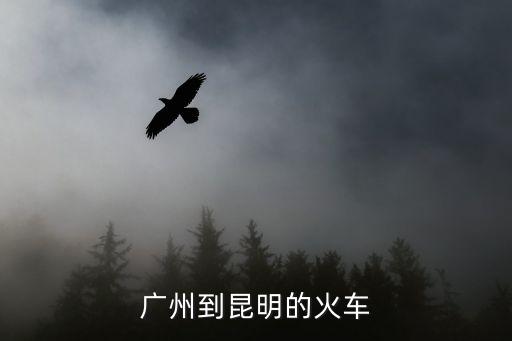 廣州到昆明的火車