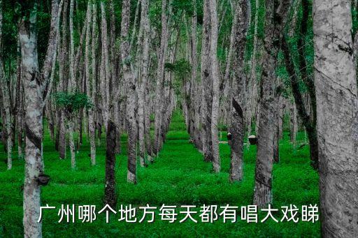 廣州唱戲舞臺，廣州哪個地方每天都有唱大戲睇
