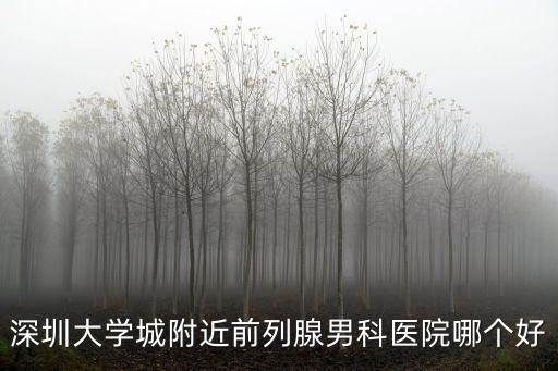 北廚味道深圳大學城，深圳大學城附近前列腺男科醫院哪個好