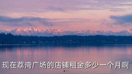 現在荔灣廣場的店鋪租金多少一個月啊