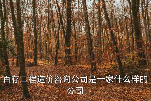 百存工程造價咨詢公司是一家什么樣的公司