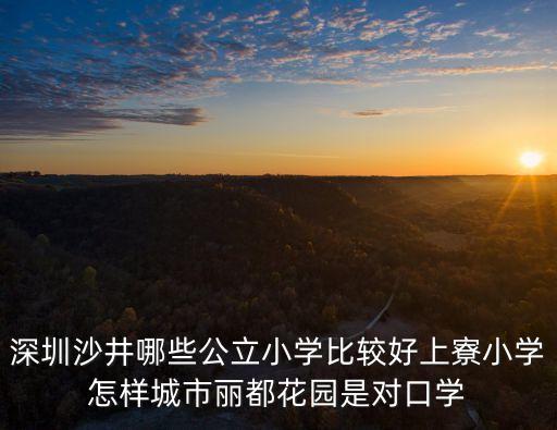 深圳沙井哪些公立小學比較好上寮小學怎樣城市麗都花園是對口學