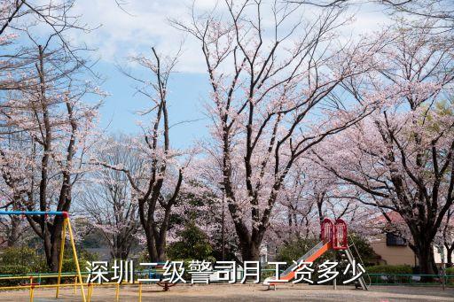 深圳普通警察一個月工資多少，深圳警察工資待遇怎么樣