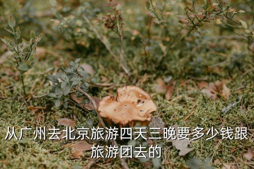 從廣州去北京旅游四天三晚要多少錢跟旅游團去的