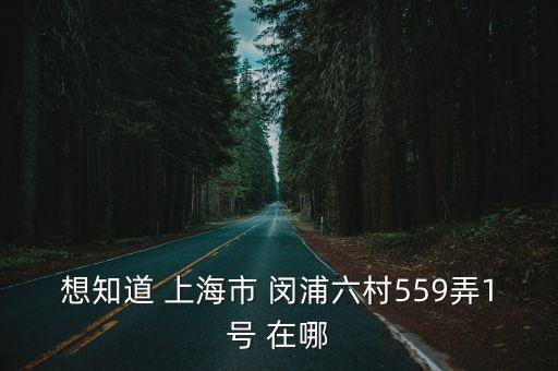 想知道 上海市 閔浦六村559弄1號 在哪