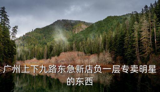 廣州上下九路東急新店負(fù)一層專賣明星的東西