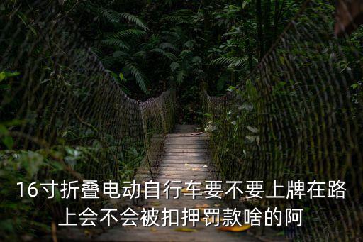 16寸折疊電動(dòng)自行車要不要上牌在路上會(huì)不會(huì)被扣押罰款啥的阿