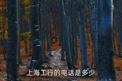 上海工行的電話是多少