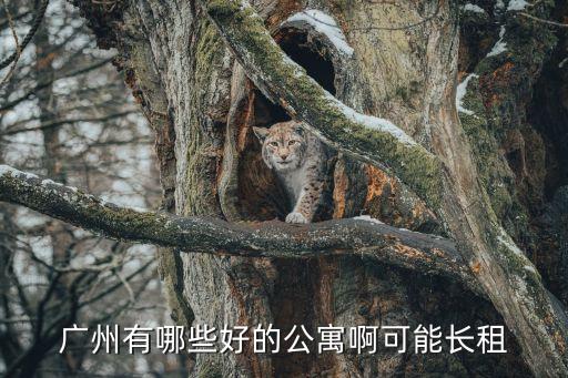 廣州有哪些好的公寓啊可能長租