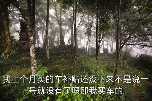 我上個月買的車補貼還沒下來不是說一號就沒有了嗎那我買車的