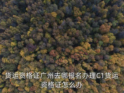 貨運資格證廣州去哪報名辦理C1貨運資格證怎么辦