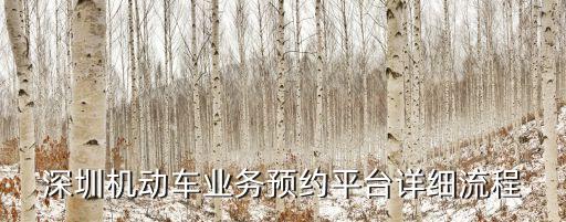 深圳機動車業務預約平臺詳細流程