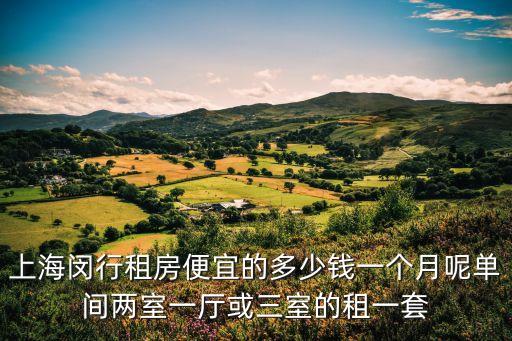 上海閔行租房便宜的多少錢(qián)一個(gè)月呢單間兩室一廳或三室的租一套