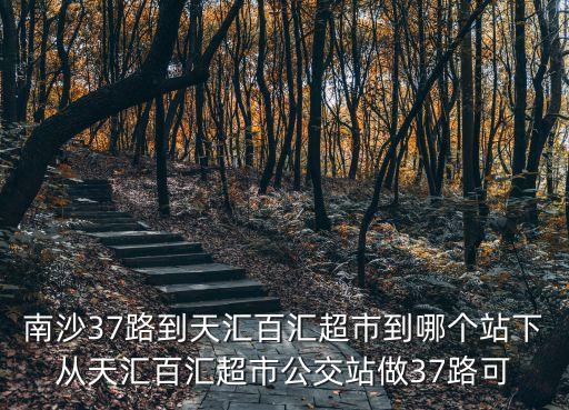 南沙37路到天匯百匯超市到哪個站下從天匯百匯超市公交站做37路可