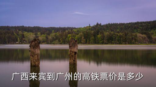 廣西來賓到廣州動車，來賓高鐵到廣州