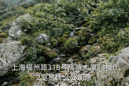 上海市色織二廠，上海福州路318號高騰大廈13樓02室是什么公司急