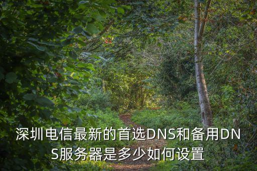深圳電信最新的首選DNS和備用DNS服務器是多少如何設置