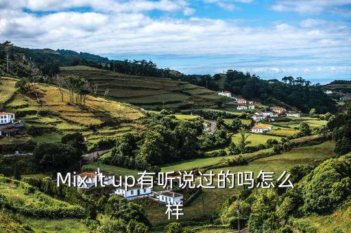 Mix it up有聽說過的嗎怎么樣