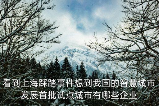 看到上海踩踏事件想到我國的智慧城市發展首批試點城市有哪些企業