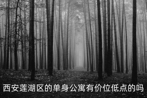 東莞謝崗金田花園單身公寓，西安蓮湖區的單身公寓有價位低點的嗎