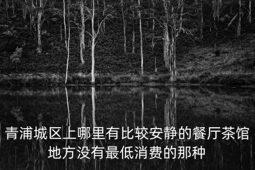 青浦城區上哪里有比較安靜的餐廳茶館地方沒有最低消費的那種