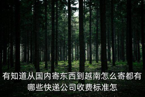 有知道從國內寄東西到越南怎么寄都有哪些快遞公司收費標準怎
