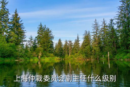 上海仲裁委員會副主任什么級別