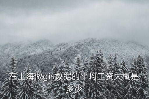 在上海做gis數據的平均工資大概是多少